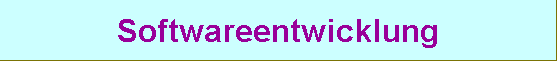 Softwareentwicklung